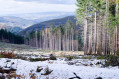 Vue sur les monts