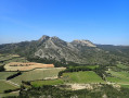 Vue sur les opies