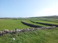 Vue sur les prés au départ de Goury Vue sur les prés au départ de Goury