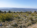 Dans la Montagne d'Alaric autour de Miramont