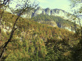 La Grande Sure et la Chartreuse de Currière au départ Saint-Laurent-du-Pont