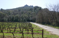 Vue sur les rochers du Fenouillet