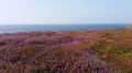 Vue sur les Tas de Pois