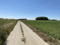 Vue sur les terres agricoles
