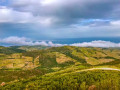 vue sur les vignes de Banyuls