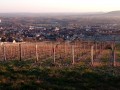 Vue sur les vignes surplombant Joigny