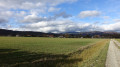Vue sur les Vosges à Felon