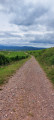 Vue sur les Vosges