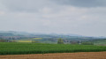 Vue sur les Vosges