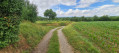 Vue sur les Vosges