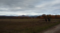 Vue sur les Vosges