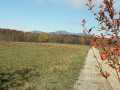 Boucle de Saint-Nicolas circuit du Haut Bois