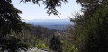Vue sur Limonest