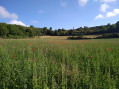Vue sur Lorette