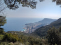 Vue sur Monaco