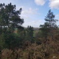 Vue sur Monterfil