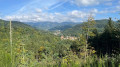 Vue sur Niederbruck