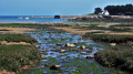 Vue sur Port-Béni depuis la grève de Roc'h Morvan
