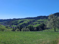 Vue sur Riersberg