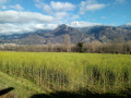 Vue sur Rochebrune