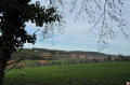 Vue sur Rosenwiller