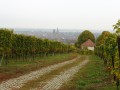 Vue sur Rouffach Vue sur Rouffach