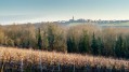 Vue sur Saint-Fiacre près du moulin de la Faubretière