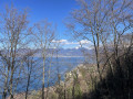 Lac, panoramas et dénivelés forestiers entre Saint-Gingolph et Bret