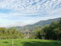 Vue sur Sasbachwalden