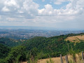 Les points de vue de Salvaris