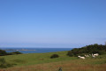 Entre terre et mer à Morsalines