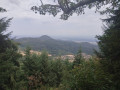 Kintzheim - Schelmenkopf
