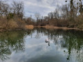 Réserve biologique d'Offendorf Réserve biologique d'Offendorf