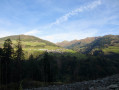 In den Wäldern von Thal (Osttirol)