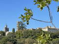 Saint-Maximin - Uzès