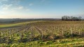 Vue sur Vertou