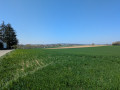 Vue sur Waltenheim