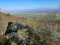 Vue sur Wattwiller