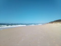 Plage et forêt, de Esmoriz à Furadouro