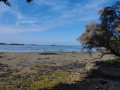 Vue vers l'&icirc;lot d'Iluric et l'&icirc;le d'Arz