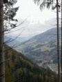 In den Wäldern von Thal (Osttirol)