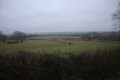 Vue vers la plaine de la Sèvre Nirotaise