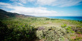 Vue vers le sud de Plum