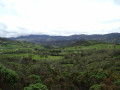 Vue vers le Sud