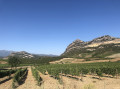 Vue vers les Agriates au fond Vue vers les Agriates au fond