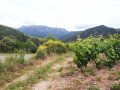 Les Gorges de l'Orb au départ de Ceps