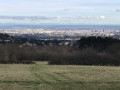 Vue