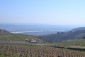 Vue