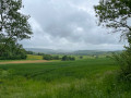 Vue