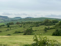 Vue